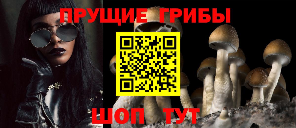 Галлюциногенные грибы Magic Shrooms Боровичи