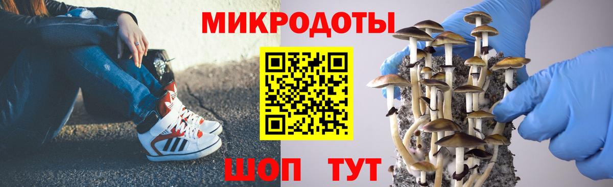 Псилоцибиновые грибы Cubensis  Вход с VPN  Боровичи 